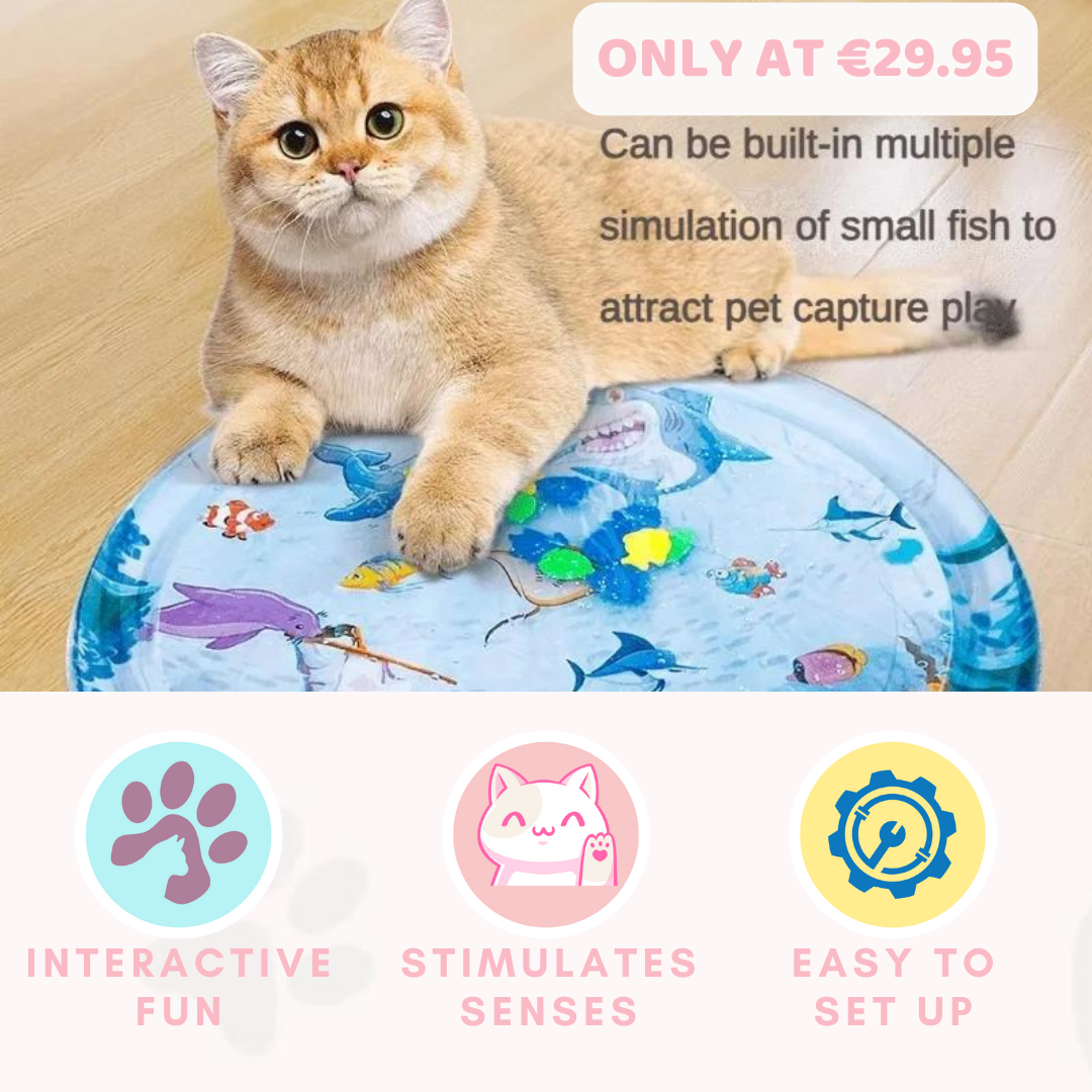 Lavensi™ AquaKitty Mat